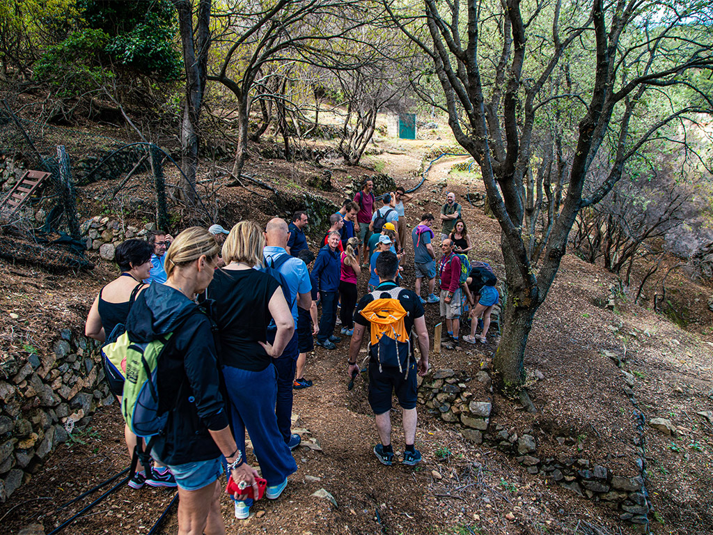 1 LUGLIO | TRANSIZIONE ECONOMICA