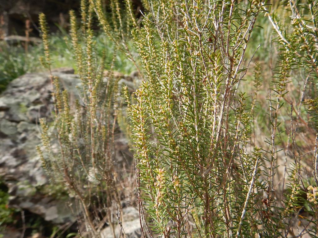 PUNTO DI INTERESSE 2 D | ERICA