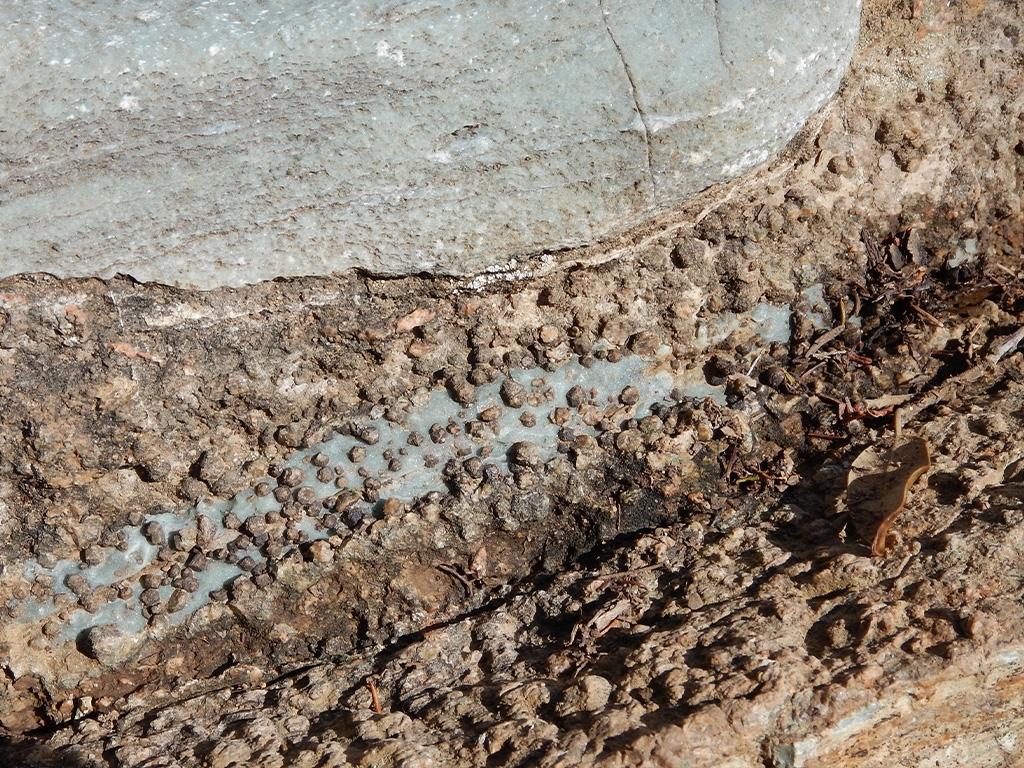 PUNTO DI INTERESSE 3 C | ANELLO TERMOMETAMORFICO