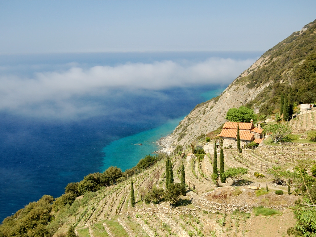 PUNTO DI INTERESSE 3 E | VITICOLTURA EROICA POMONTE