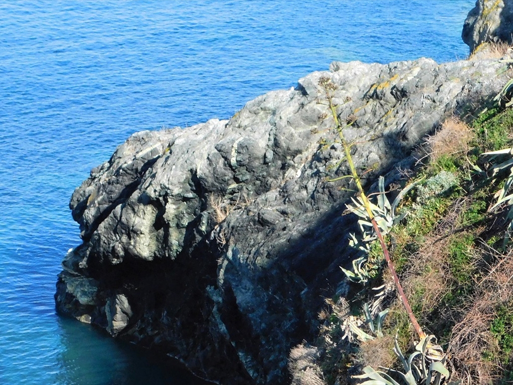 PUNTO DI INTERESSE 4 C | SERPENTINITE