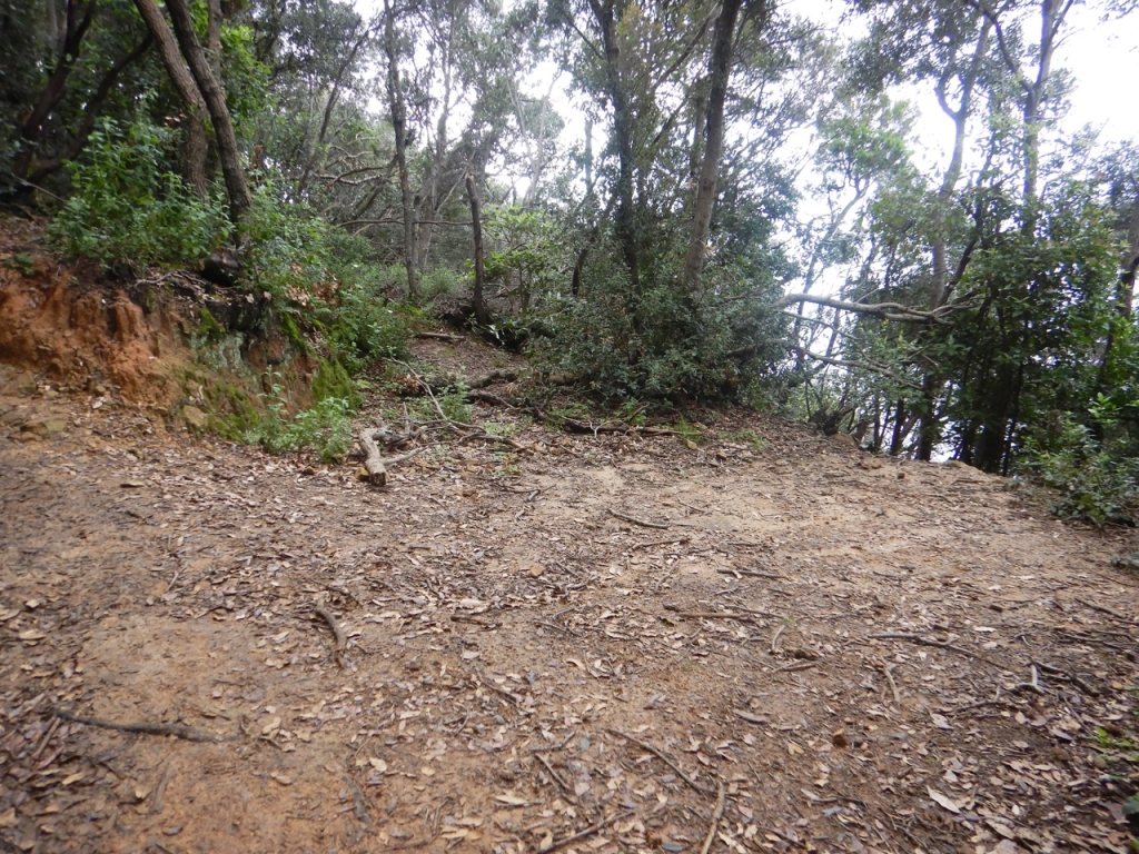 POINT OF INTEREST 7D | CHARCOAL BURNING