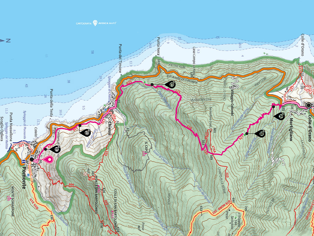 LA VIA DELLA LAVANDA