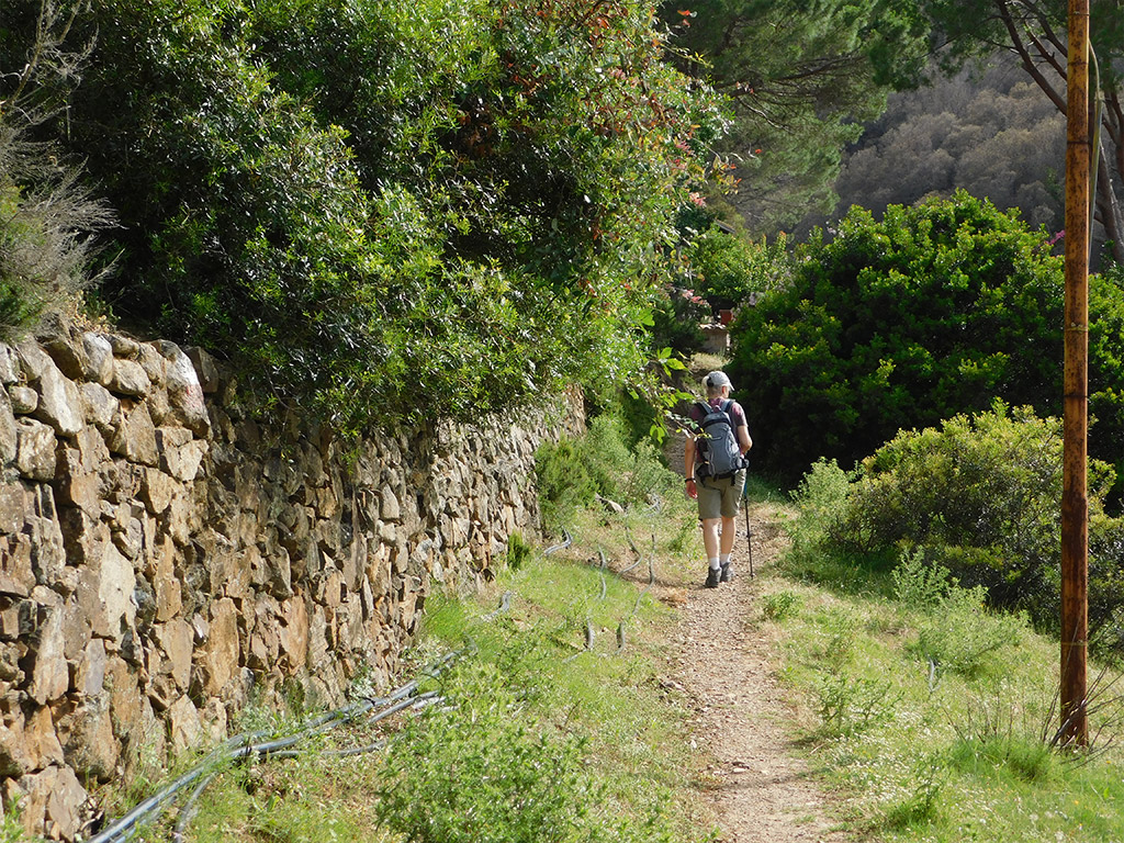 POINT OF INTEREST 1B | DRY STONE WALLS