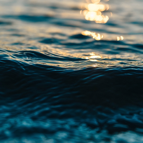 CS 4 - Lancio ufficiale SEIF