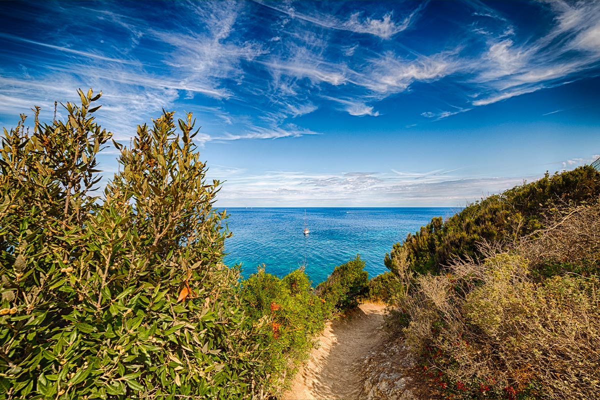 La Via dell'Essenza