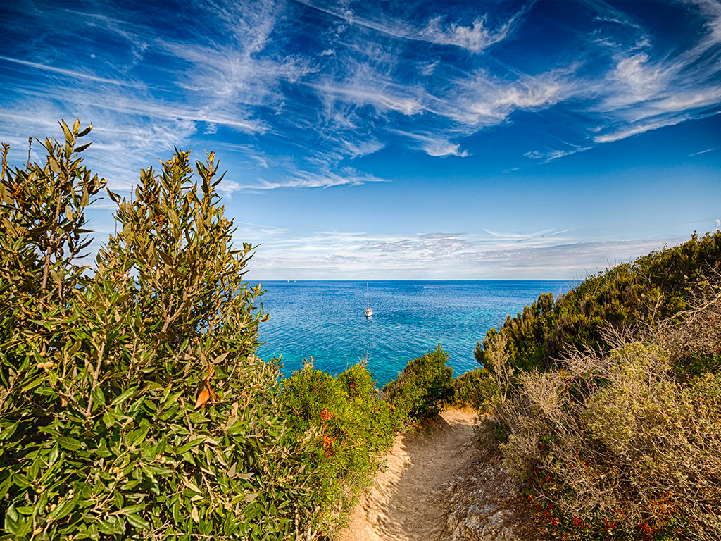 La Via dell'Essenza